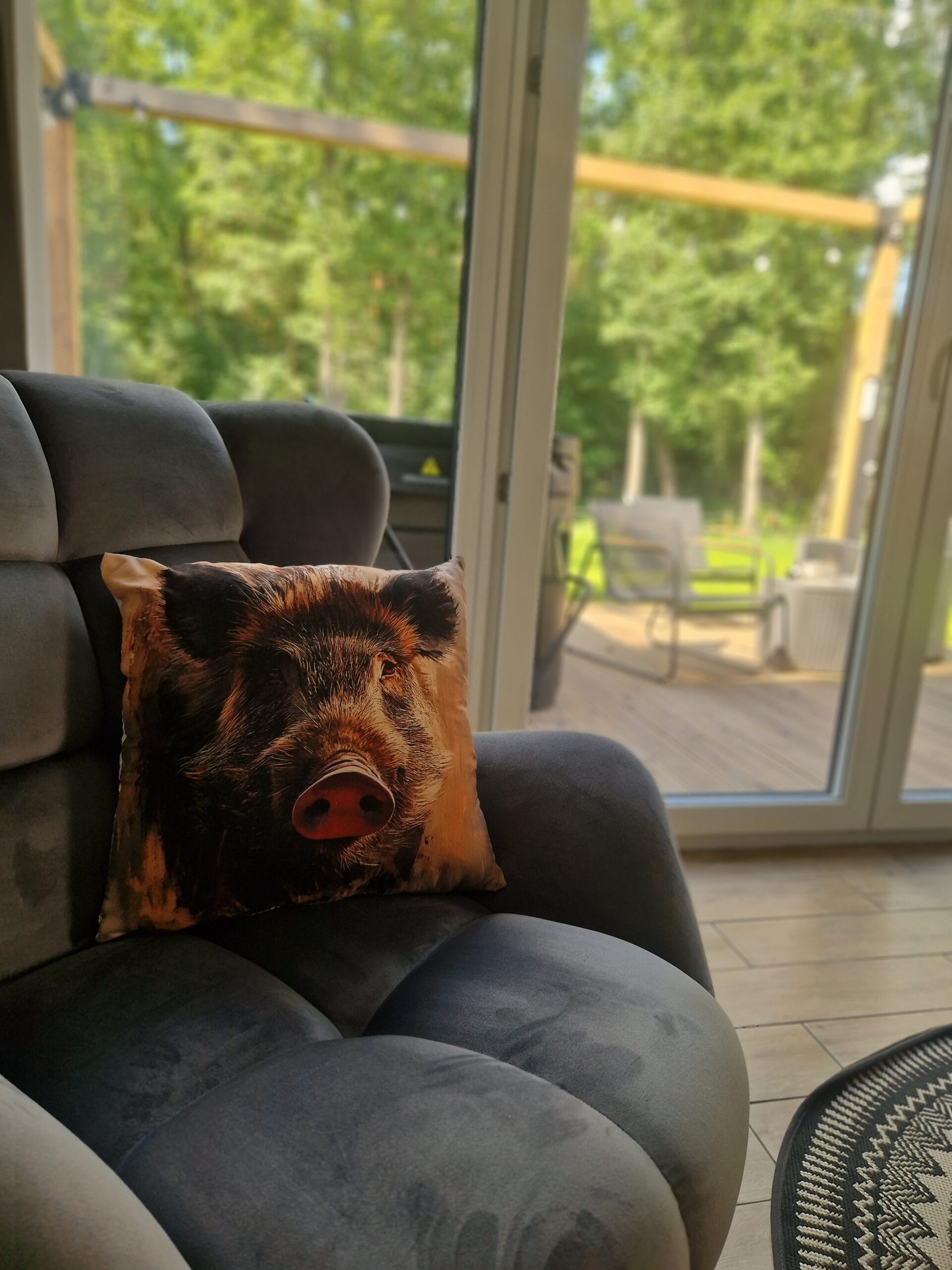 Domek Dzik jacuzzi